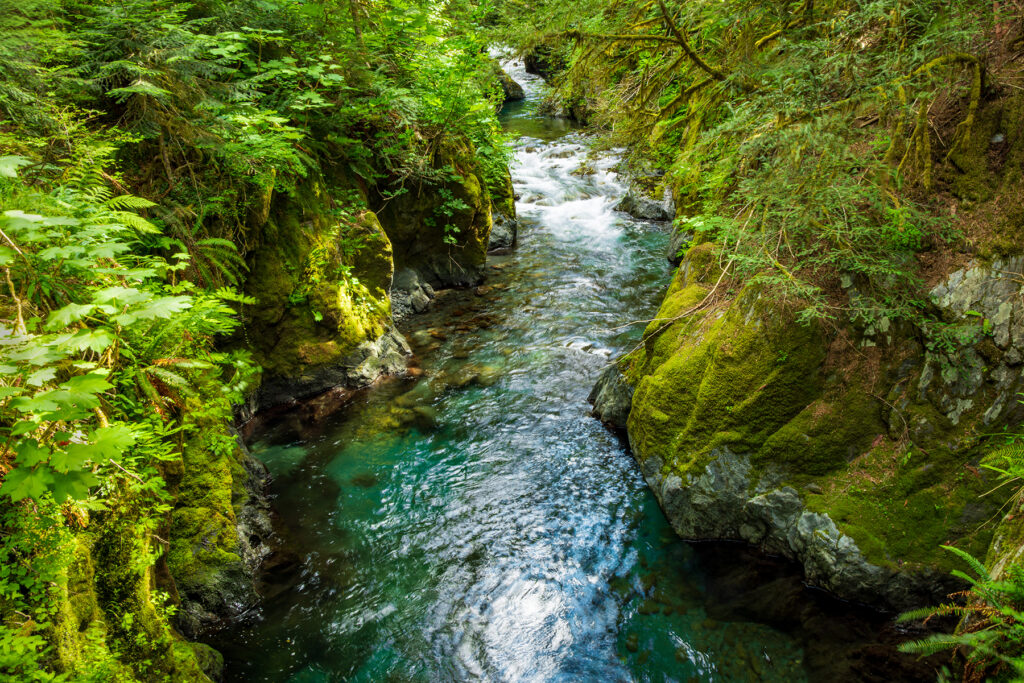 Backpacking the North Fork Skokomish River Trail, Olympic National Park