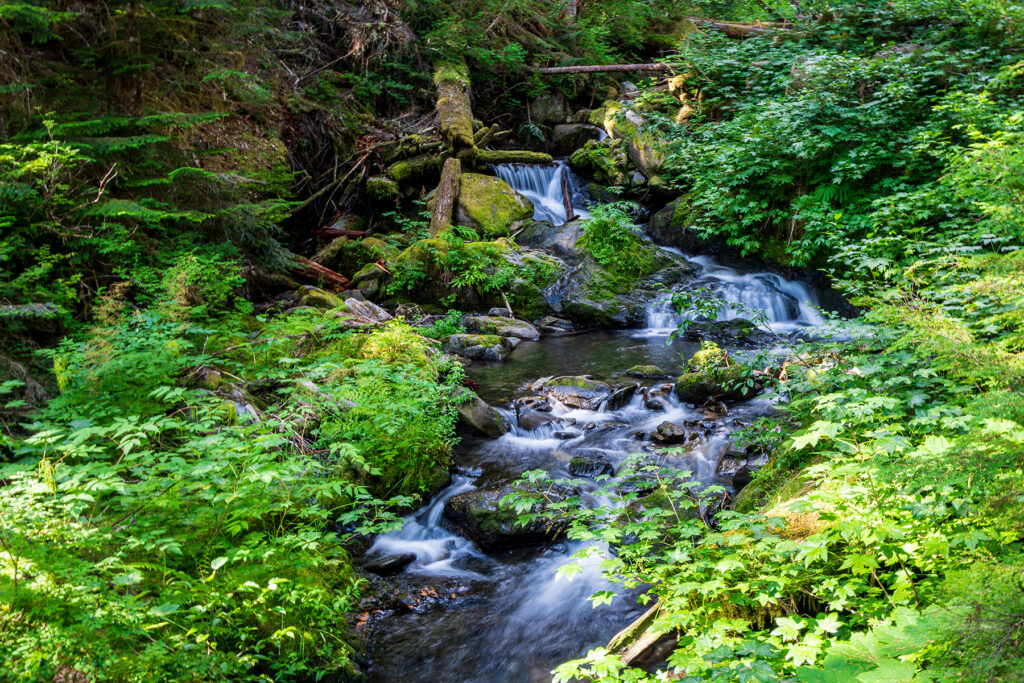 Waterfall cascading in the Olympic Cascades