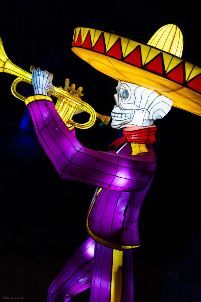 Sombrero-wearing skeleton playing trumpet for Dia de los Muertos illuminated silk and steel lantern sculpture at 2023 GloWild event at the Kansas City Zoo & Aquarium