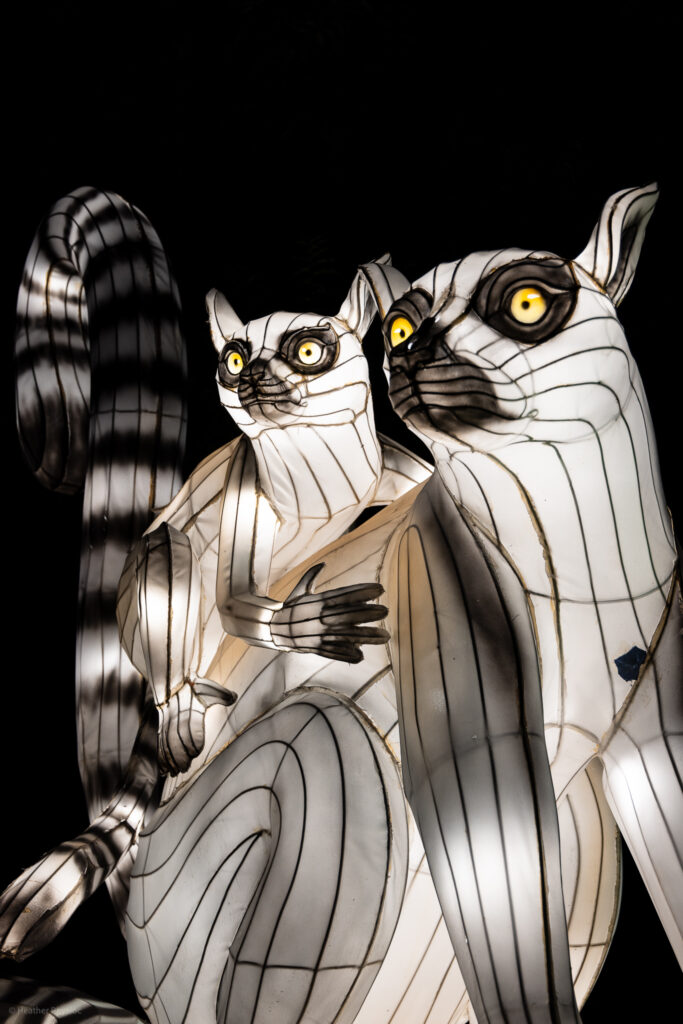 Lemurs illuminated silk and steel lantern sculpture at 2023 GloWild event at the Kansas City Zoo & Aquarium