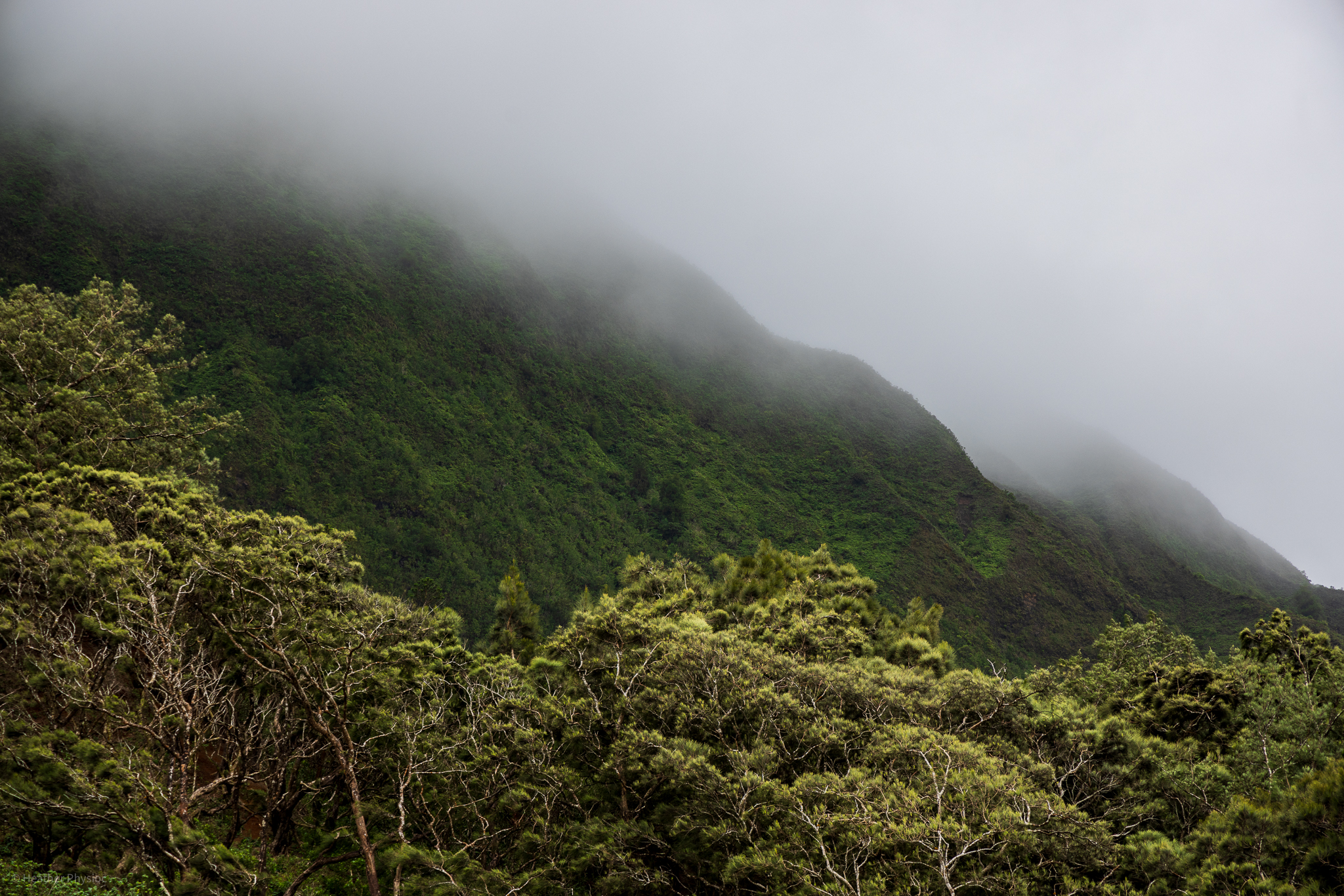 Misty mountainsides at Pali Lookout, Oahu Hawaii