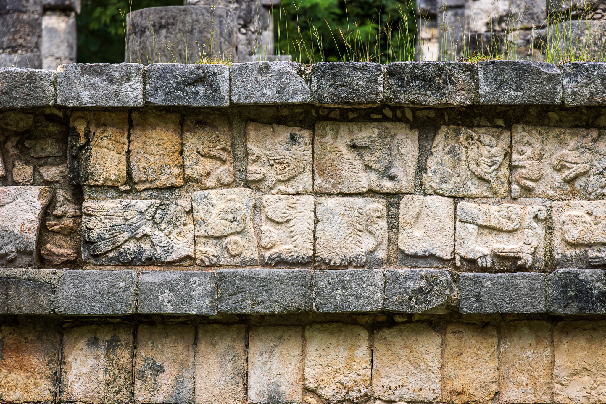 A detailed view of a frieze depicting Mayan scenes in bas-relief, carved into a stone wall at Chichen Itza. Each figure is etched with distinct outlines and worn by time, with grass growing over the top edge of the wall.