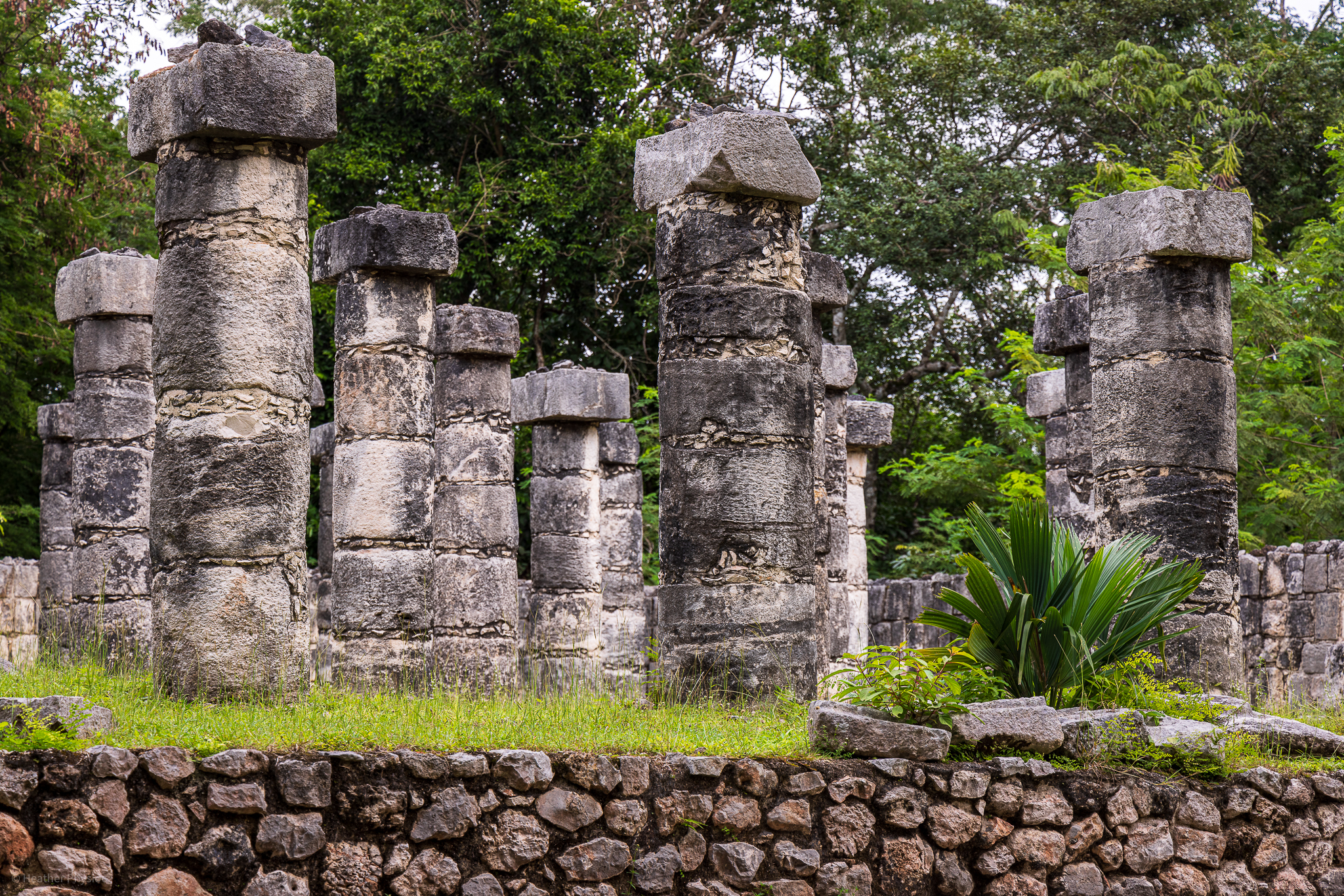 A series of ancient stone pillars, remnants of Mayan architecture, stand in a row at the ruins of Chichén Itzá, surrounded by lush jungle vegetation.
