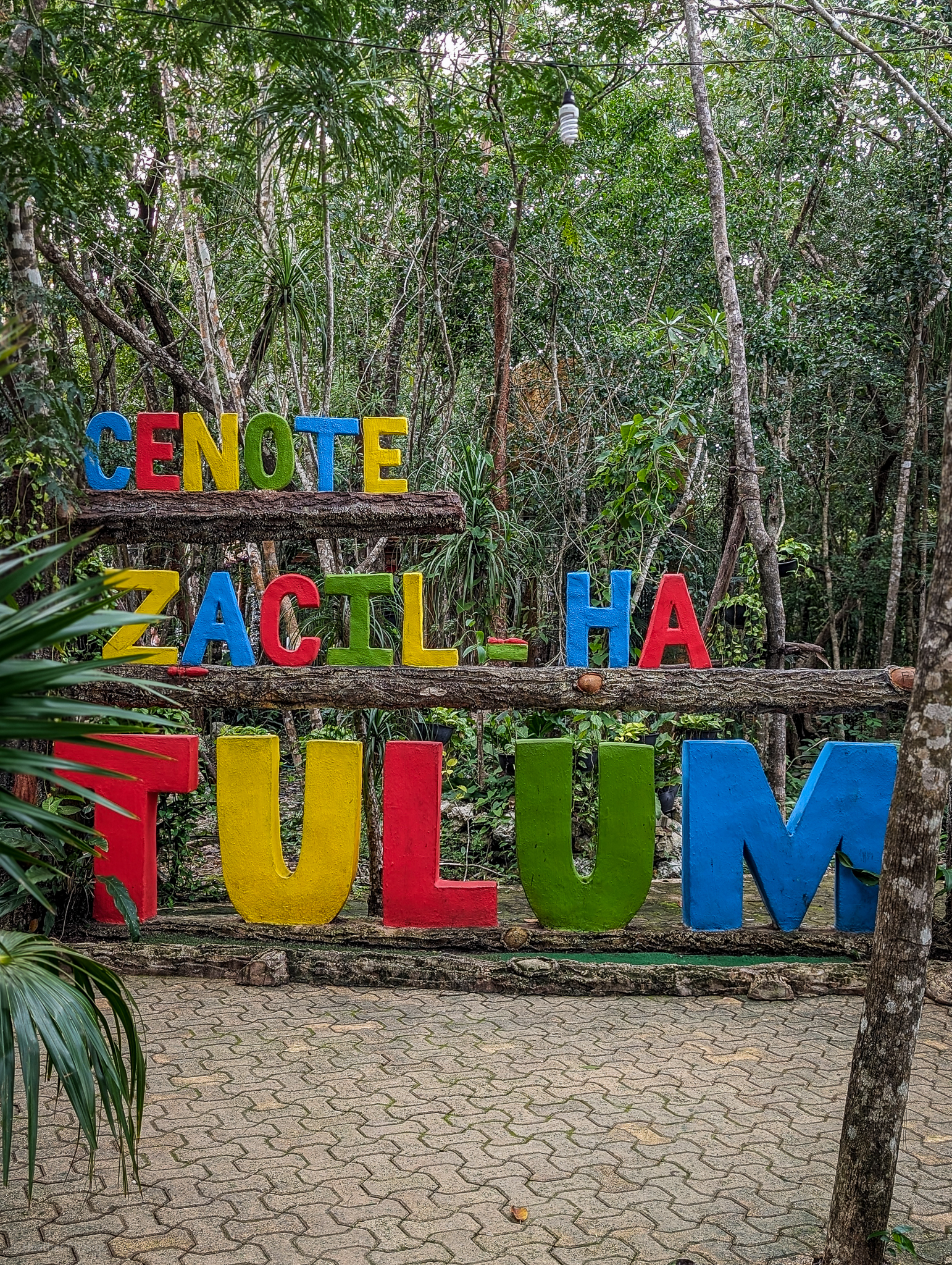 A colorful sign spelling out "CENOTE ZACIL-HA TULUM" in bold, block letters, set against the dense greenery of the jungle near Tulum, Mexico, inviting visitors to the natural sinkhole.
