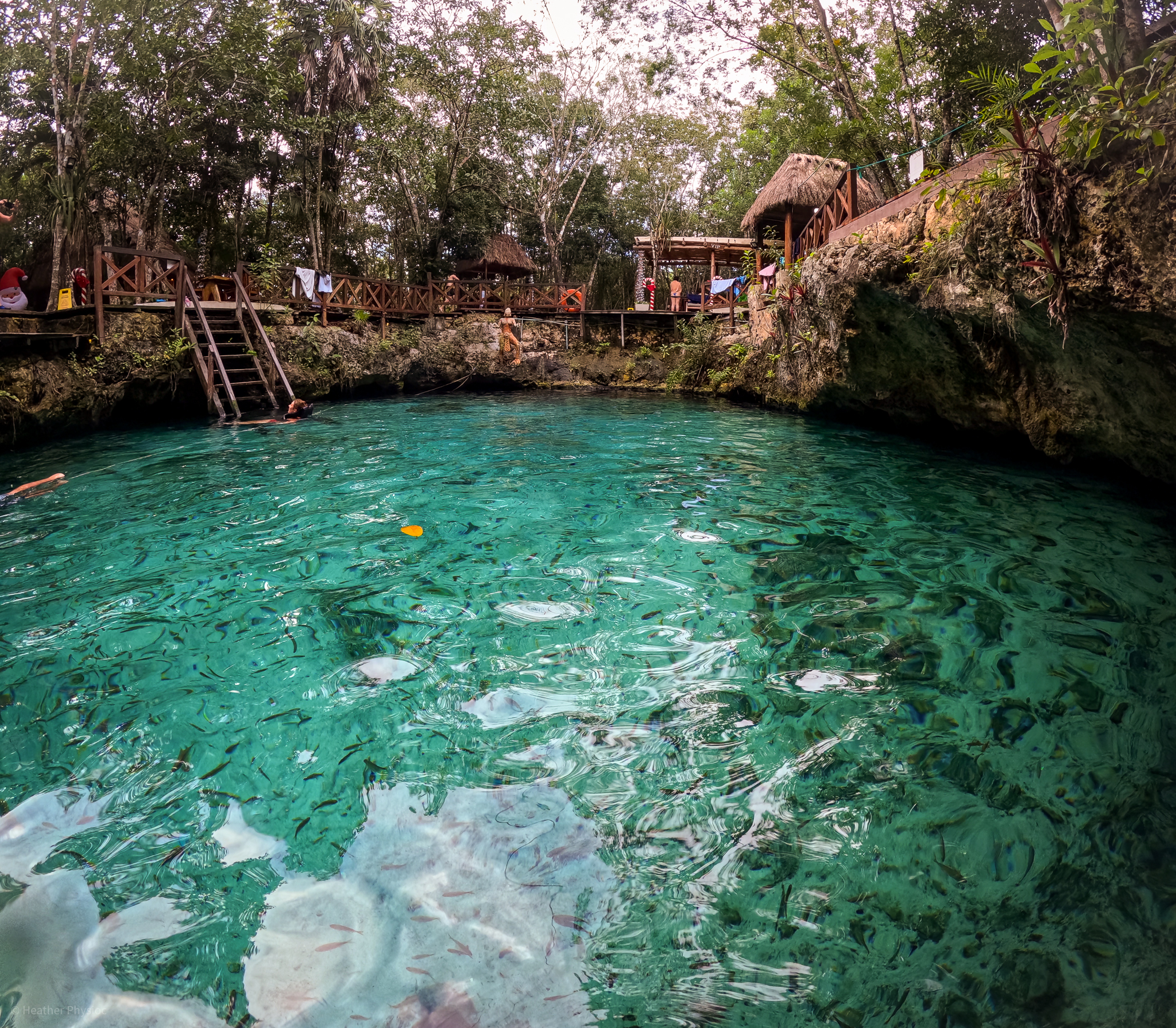 The crystalline waters of Cenote Zacil-Ha near Tulum, Mexico, surrounded by lush vegetation and a wooden deck with visitors enjoying the serene natural swimming hole.
