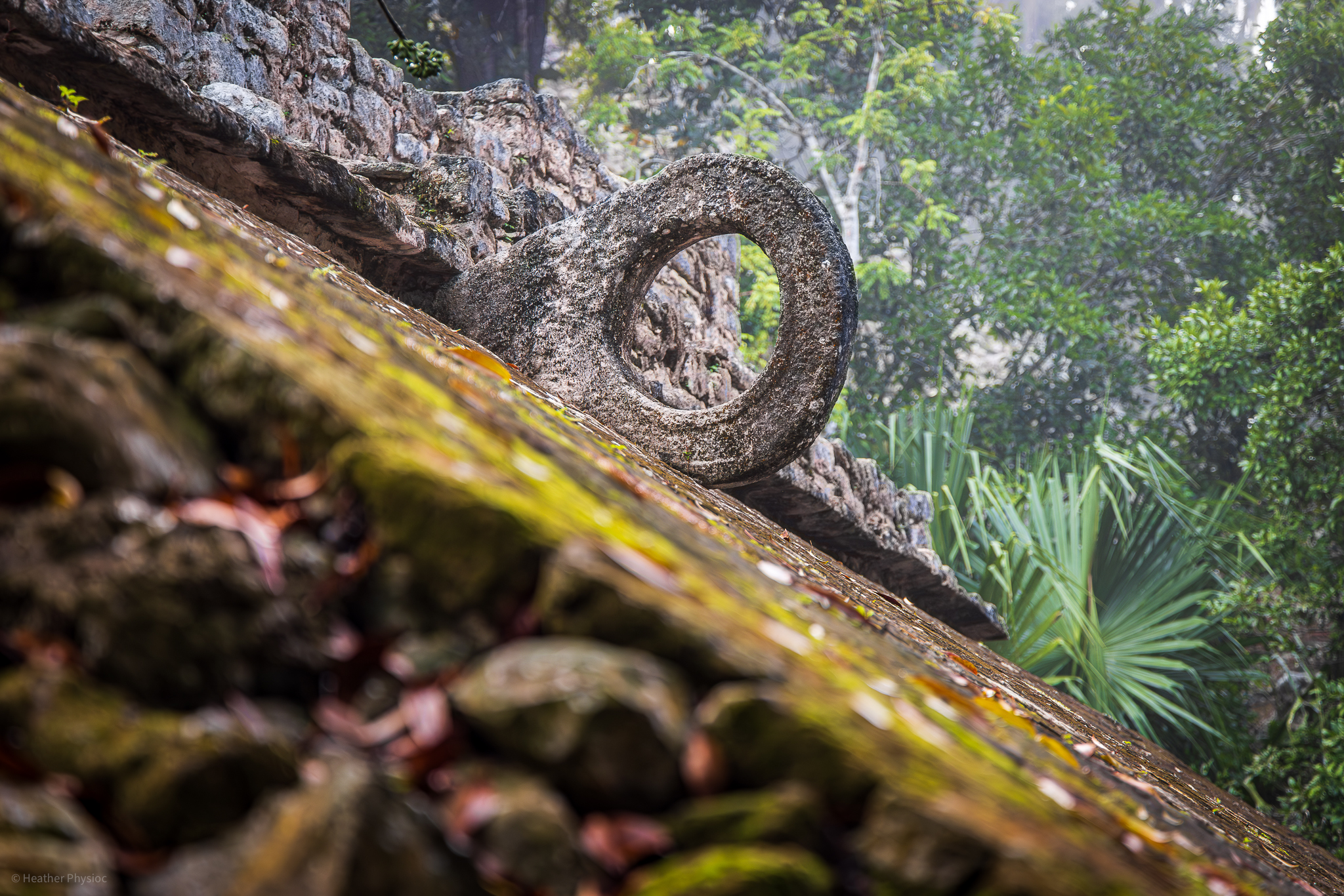 A focused view of the stone hoop from the Mayan ball game court at the Coba archaeological site in Yucatan, Mexico. The hoop is perched on a textured wall, with the verdant jungle softly blurred in the background, casting a historical ambiance over the ancient sport's relic.