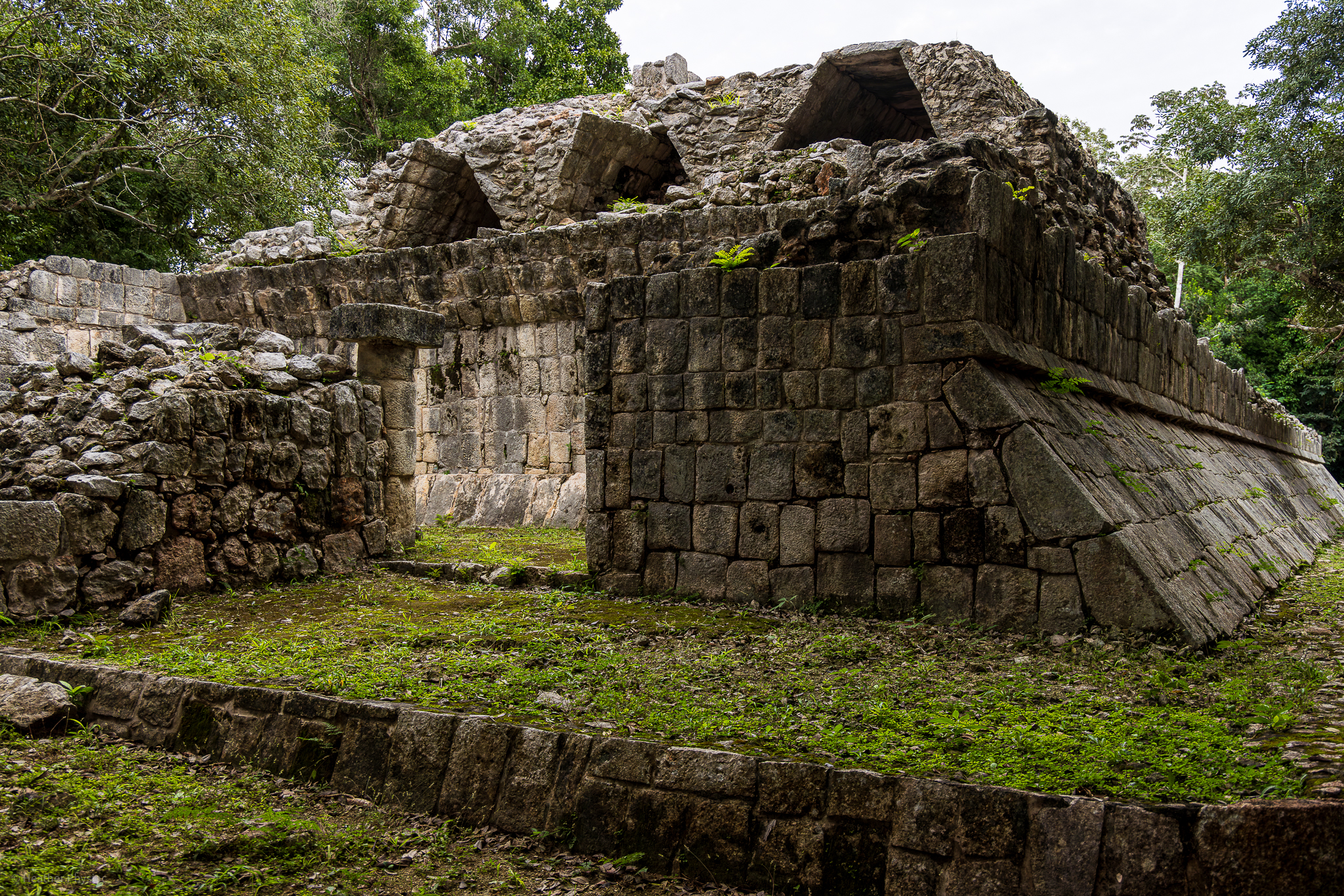 A weathered stone structure at Chichen Itza, featuring a stairway leading up to a partially collapsed temple. The ruins are surrounded by lush greenery, and small plants have begun to grow within the crevices of the stone, highlighting the passage of time and nature's reclaiming of the site.