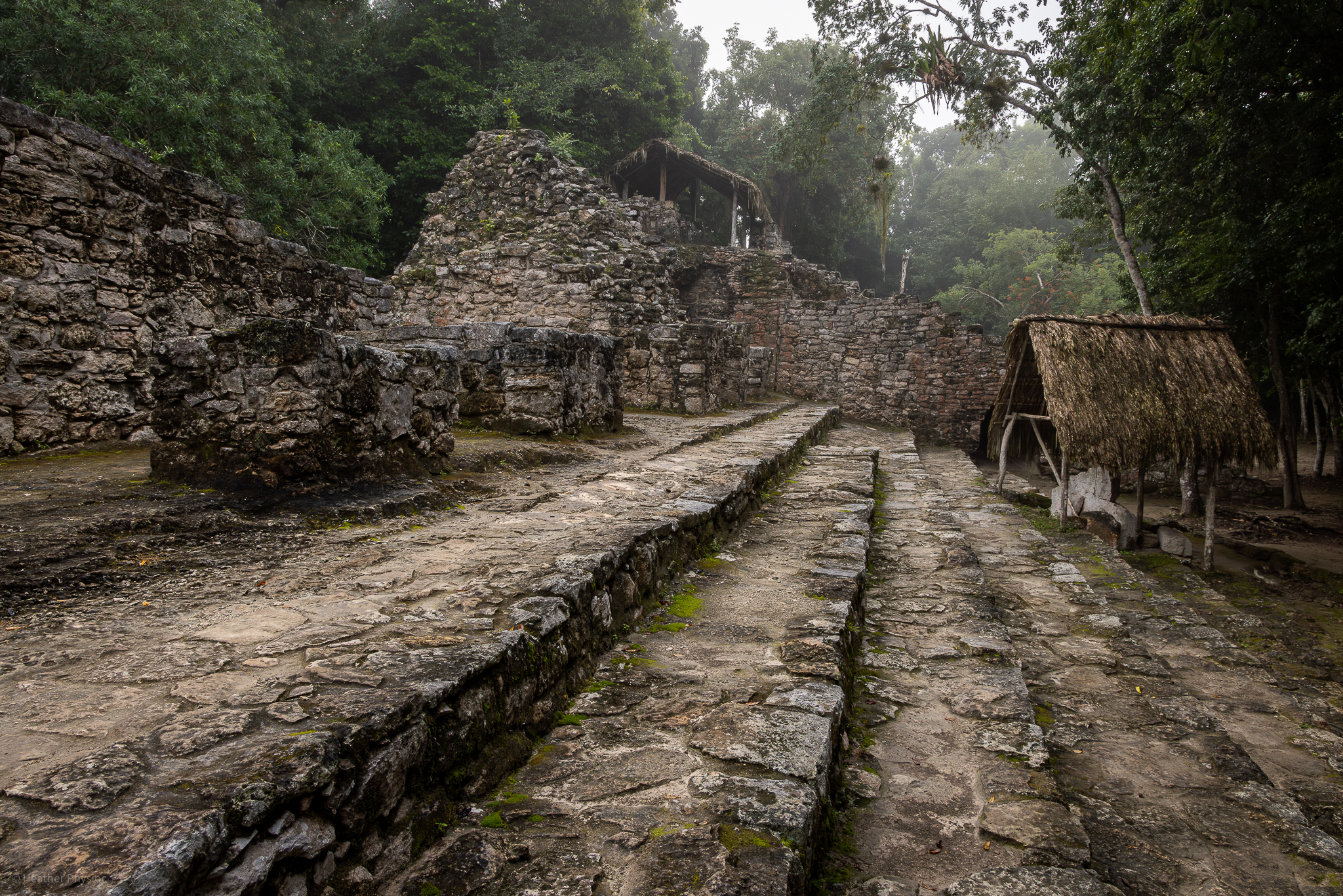 A wide view of the ancient Mayan ruins in Coba, featuring a stone-paved causeway leading to a pyramid with a thatched-roof shelter, set in a serene Mexican jungle landscape.