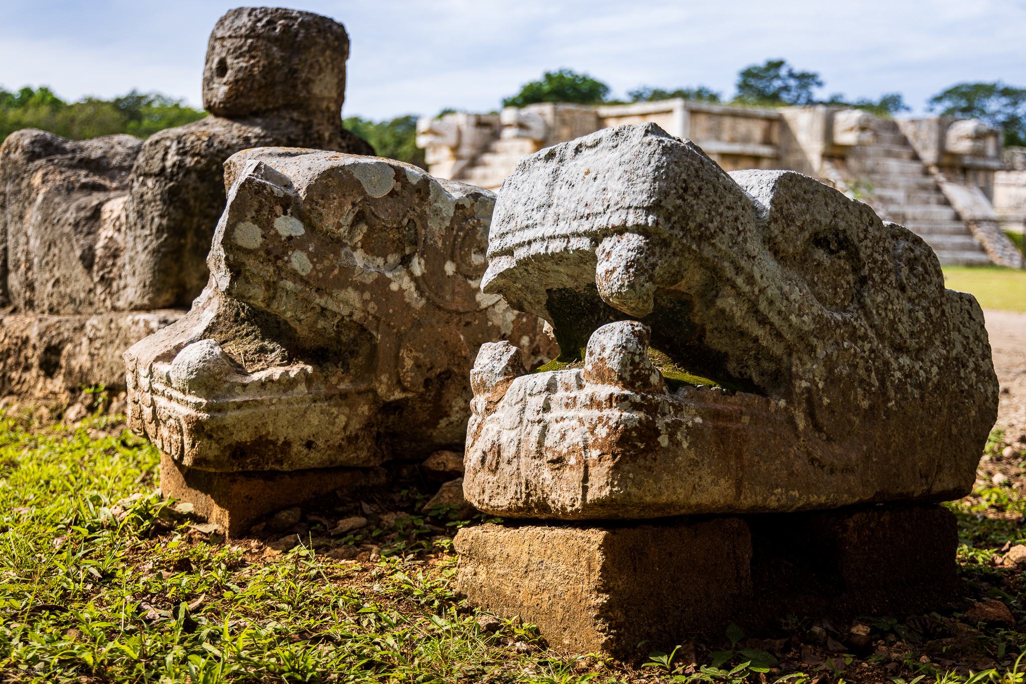 A detailed view of the serpent head sculptures at the base of the Kukulkan Pyramid in Chichen Itza. These carved stone heads represent the Mayan serpent deity, with the temple's grand staircase in the background.