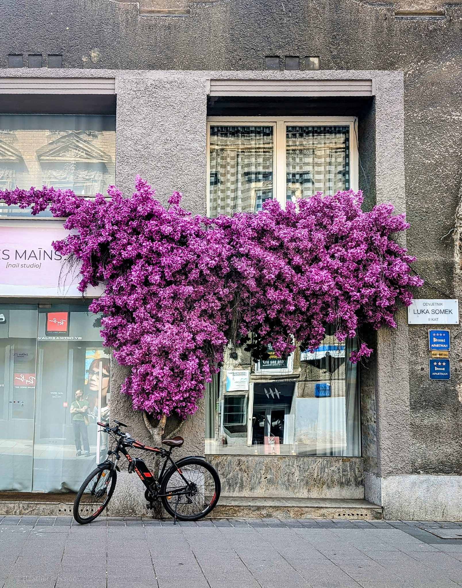 Purple bougainvillea and bicycle on street in Zagreb, Croatia at Odvjetnik Luka Somek