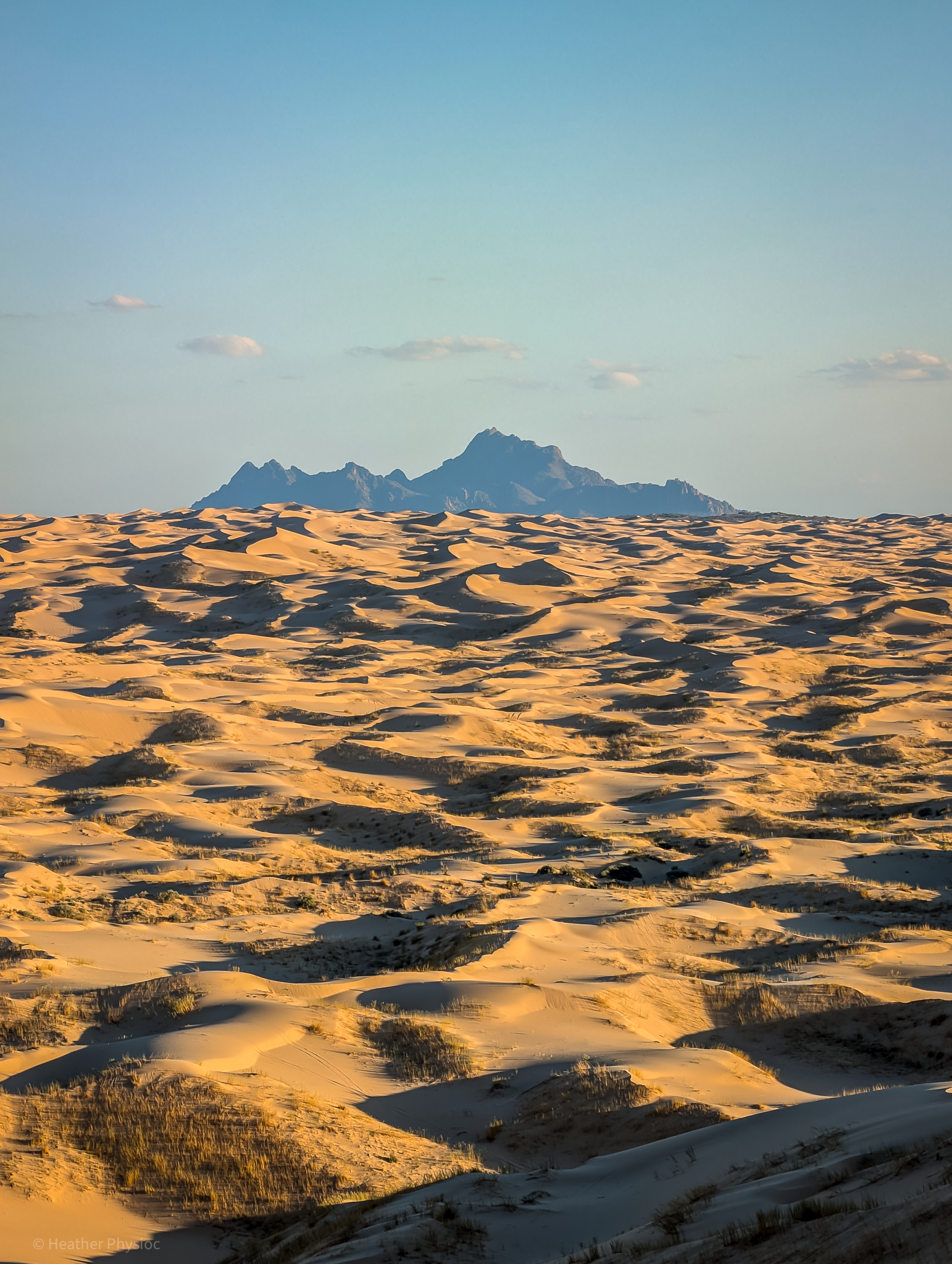 Samalayuca Dune Fields