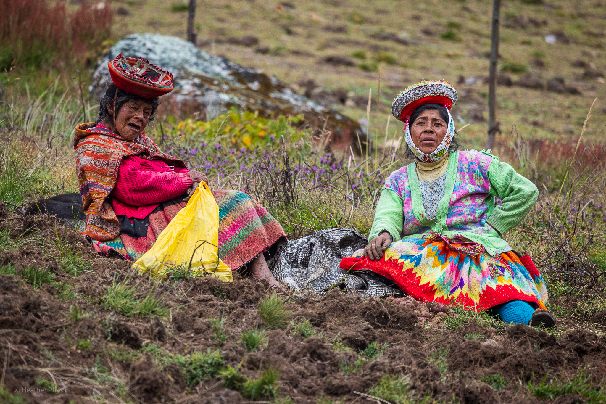 Quechua a Harvesting Potatoes in Patacancha